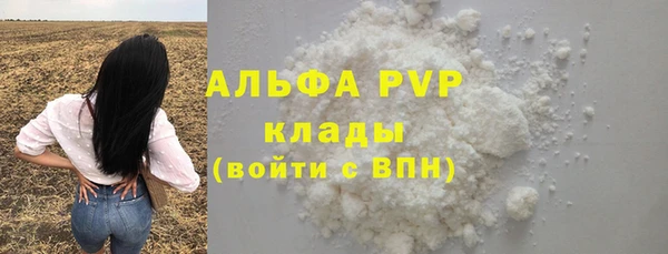 прущие грибы Нягань