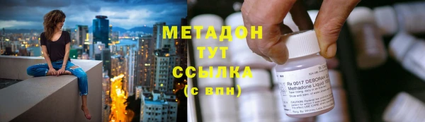 прущие грибы Нягань
