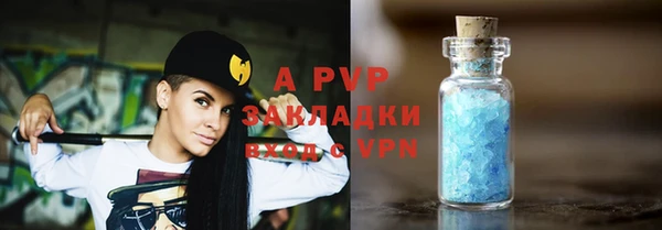 прущие грибы Нягань