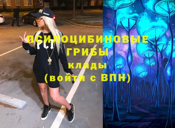 прущие грибы Нягань