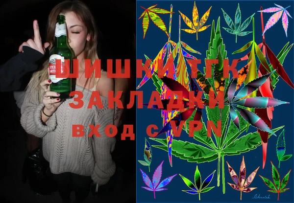 крисы Новодвинск